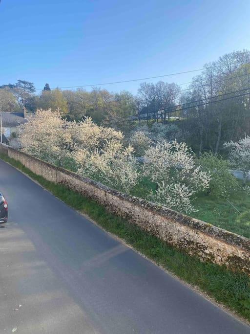 Gite Des Moriers Blois Bord De Loire Dış mekan fotoğraf